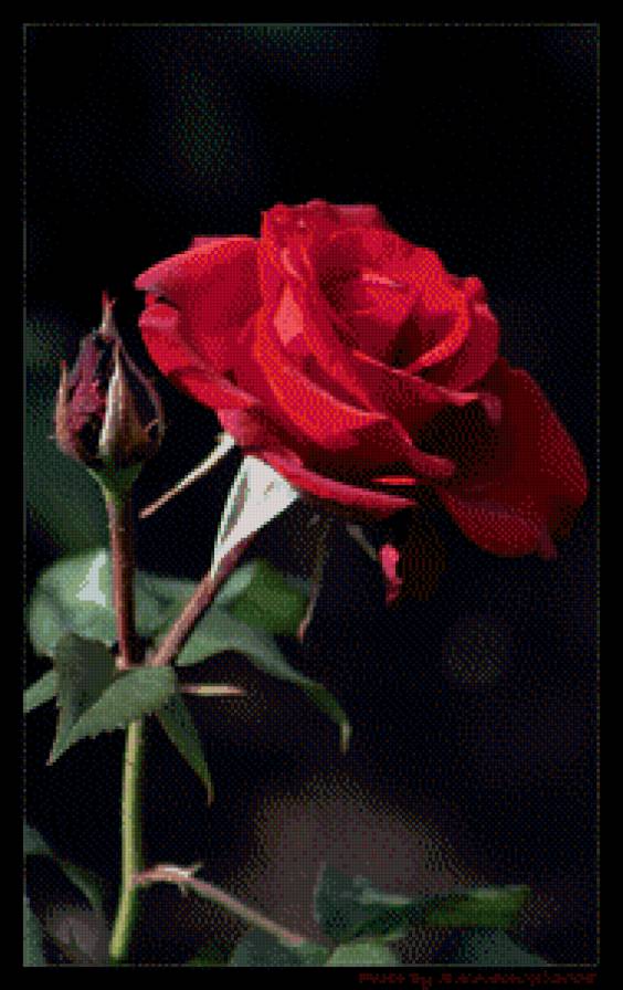 №1041243 - предпросмотр