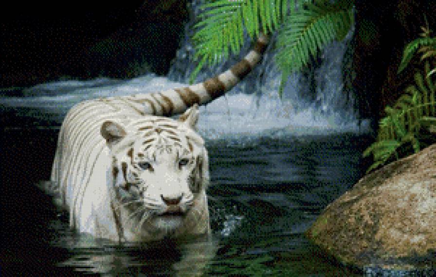 №1041253 - предпросмотр