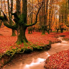 Схема вышивки «осень»