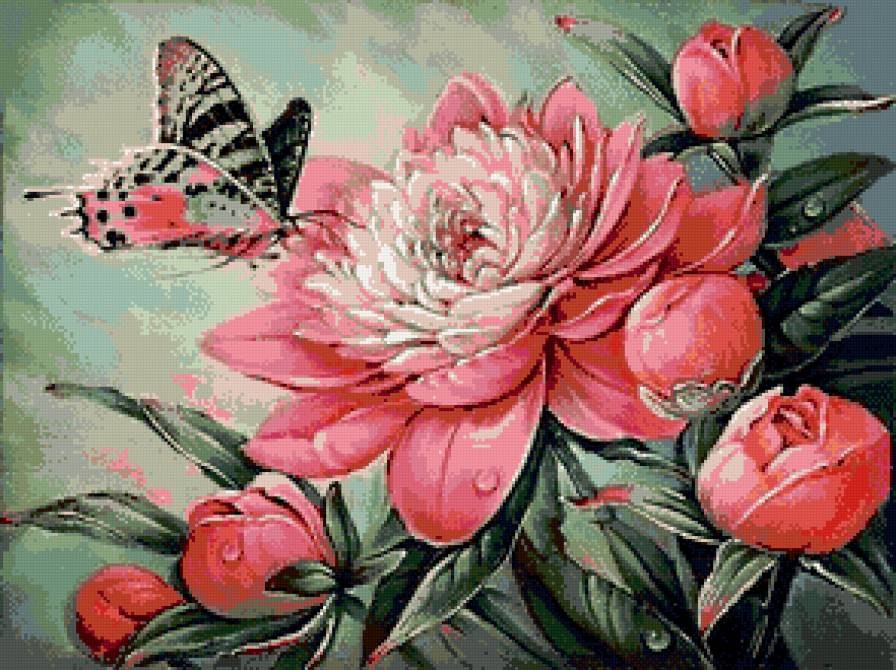 Пион и бабочка - цветы - предпросмотр