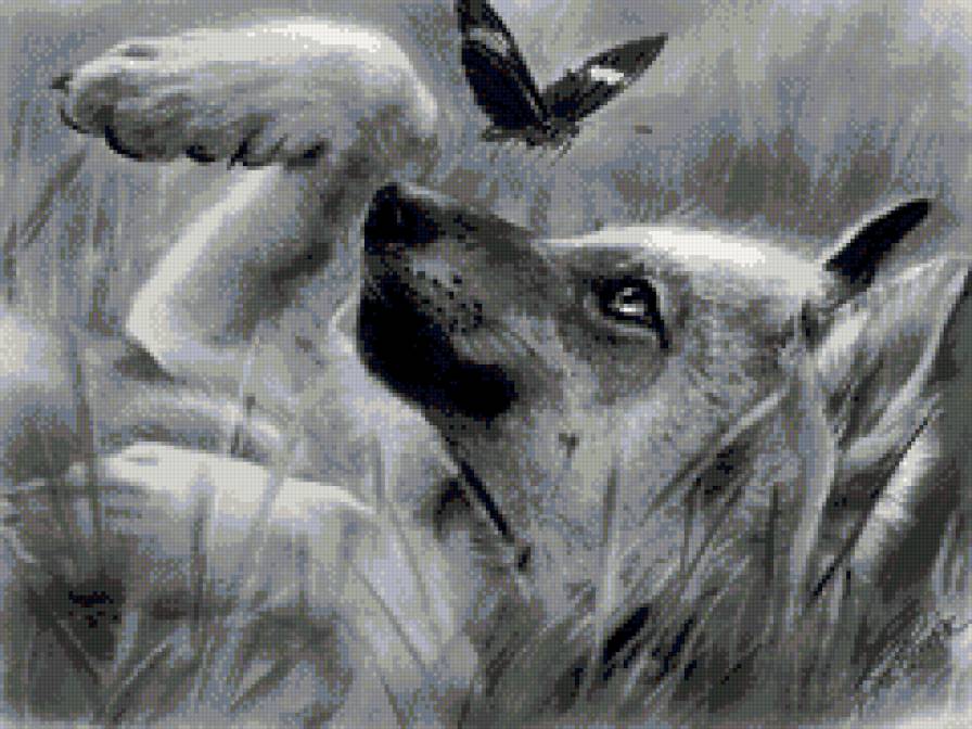 Щенок и бабочка - животные - предпросмотр