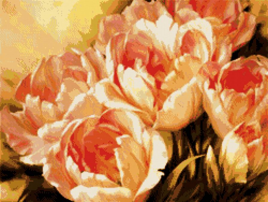 тюльпаны - букет, нежность, тюльпаны, цветы - предпросмотр