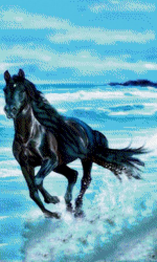 черная лошадь в воде - черная, вода, лошадь - предпросмотр