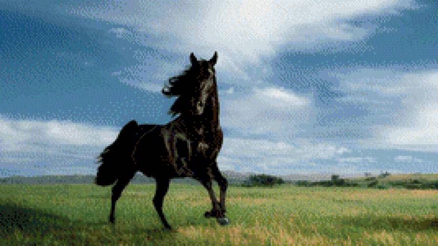 лошадь на лугу - лошадь на лугу - предпросмотр