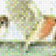 Предпросмотр схемы вышивки «Ира» (№1042327)