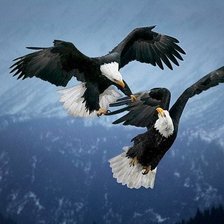 Схема вышивки «№1042723»