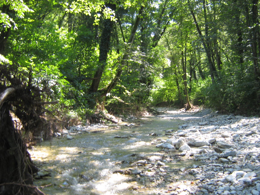 №1042845 - оригинал