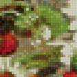 Предпросмотр схемы вышивки «малина» (№1042872)