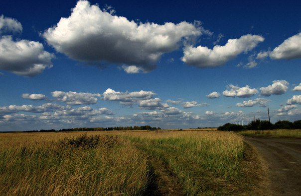 пейзаж - оригинал