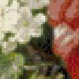 Предпросмотр схемы вышивки «букет цветов» (№1043107)