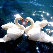 Схема вышивки «Лебеди»