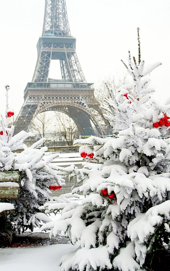 зимний Париж - пейзаж, городской пейзаж - оригинал