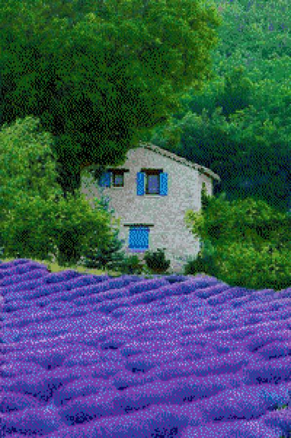 campo de lavanda con casa - предпросмотр