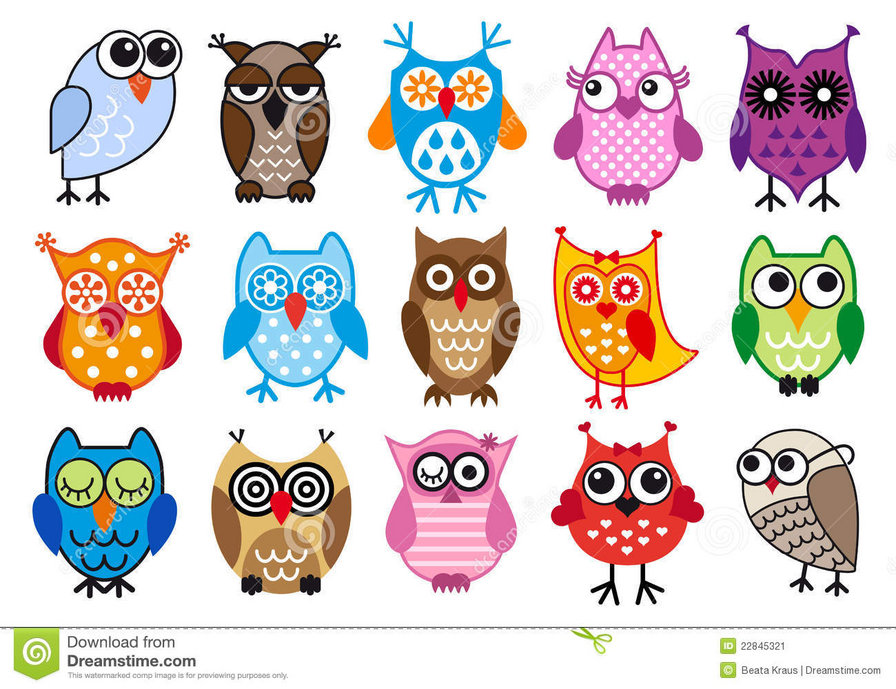 buhos coloridos - оригинал