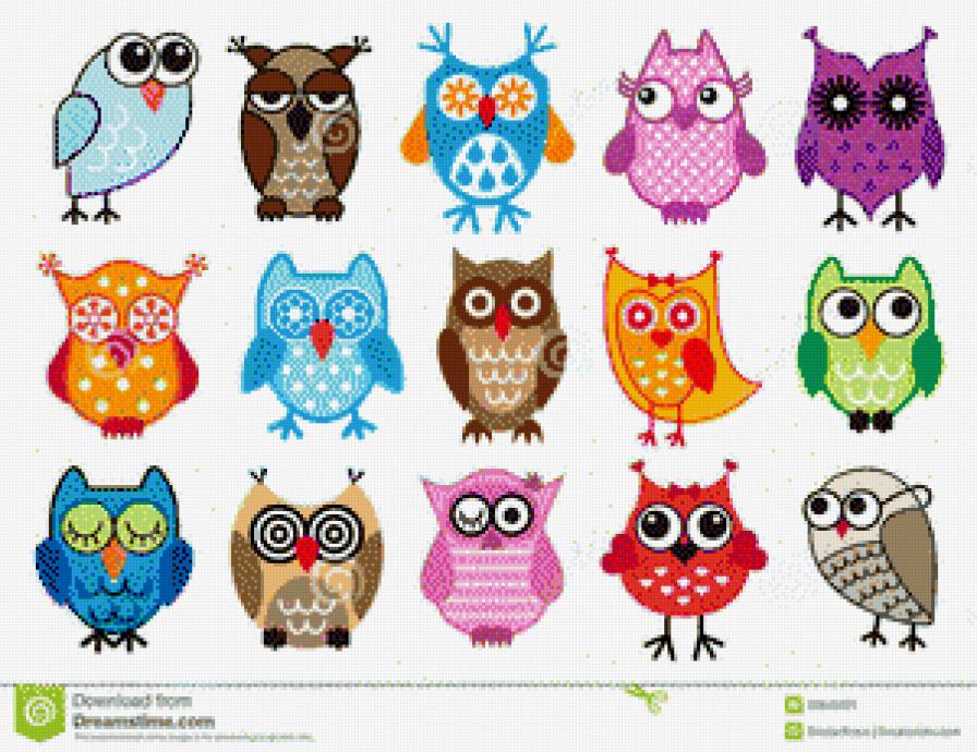 buhos coloridos - предпросмотр