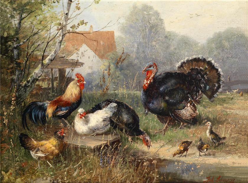 gallinaceas - оригинал