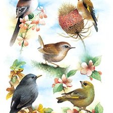 Схема вышивки «pajarillos»