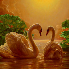 лебединая пара