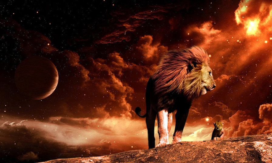 Лев и львенок - космос, львенок, лев - оригинал