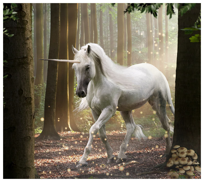 №1045031 - оригинал