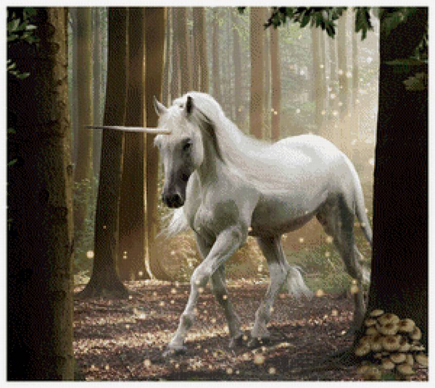 №1045031 - предпросмотр