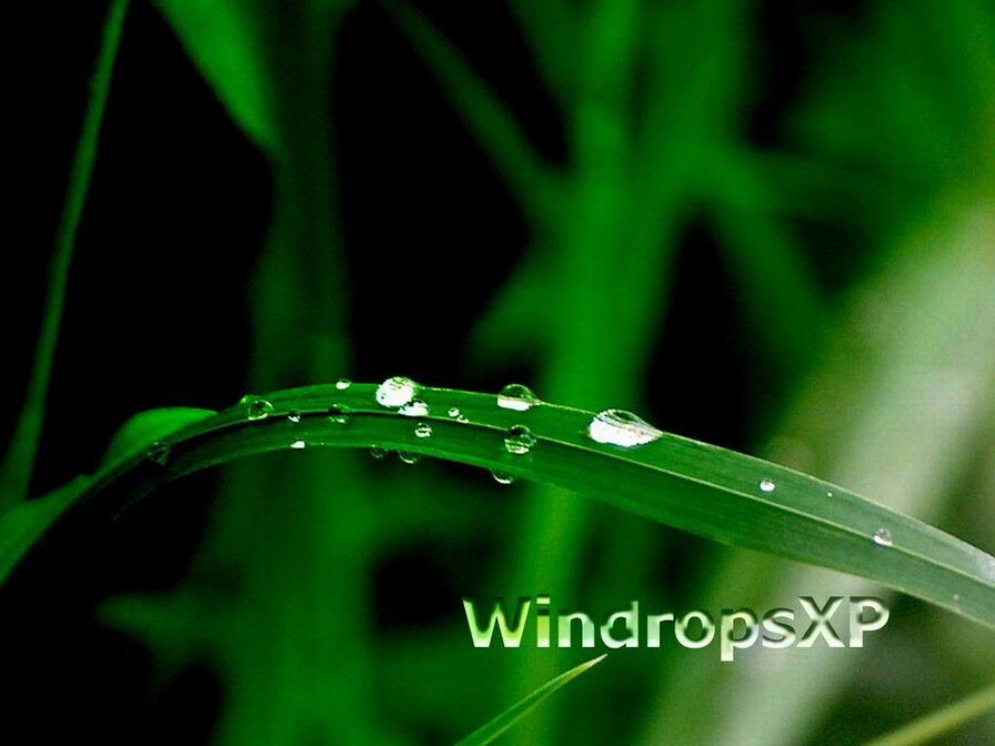 №1045038 - оригинал