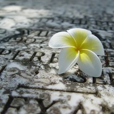 Схема вышивки «№1045081»