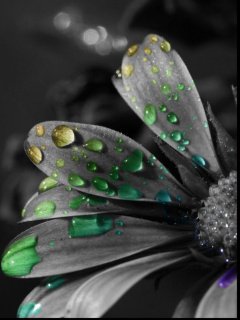 №1045112 - оригинал