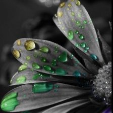 Схема вышивки «№1045112»