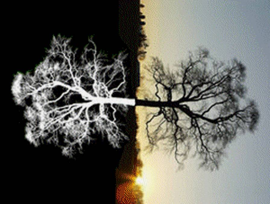 JUODA-BALTA - предпросмотр