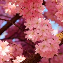 Схема вышивки «Весна»