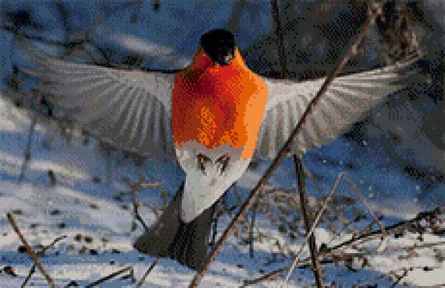Снегири3 - зима, птицы - предпросмотр