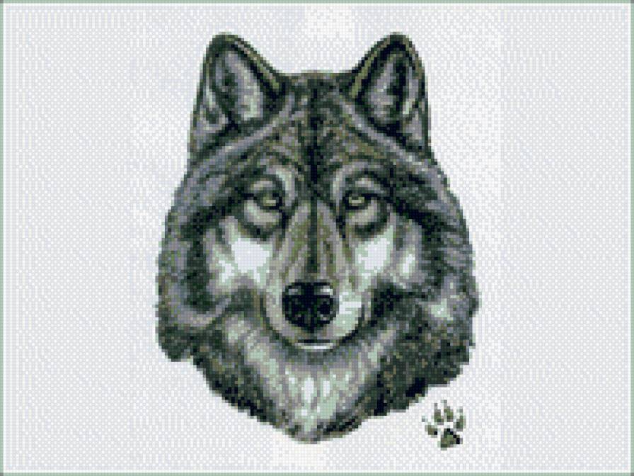 волк - предпросмотр