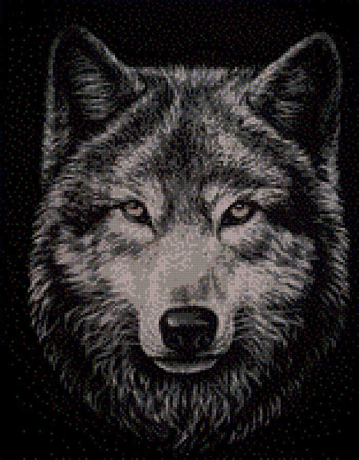 волк22 - предпросмотр