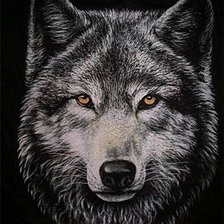 Оригинал схемы вышивки «волк22» (№1046401)