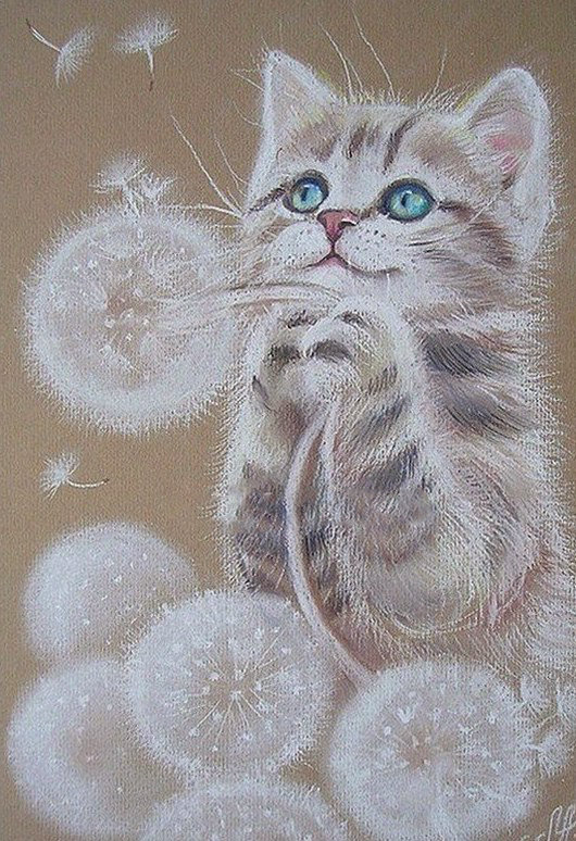 котик - коты, животные - оригинал