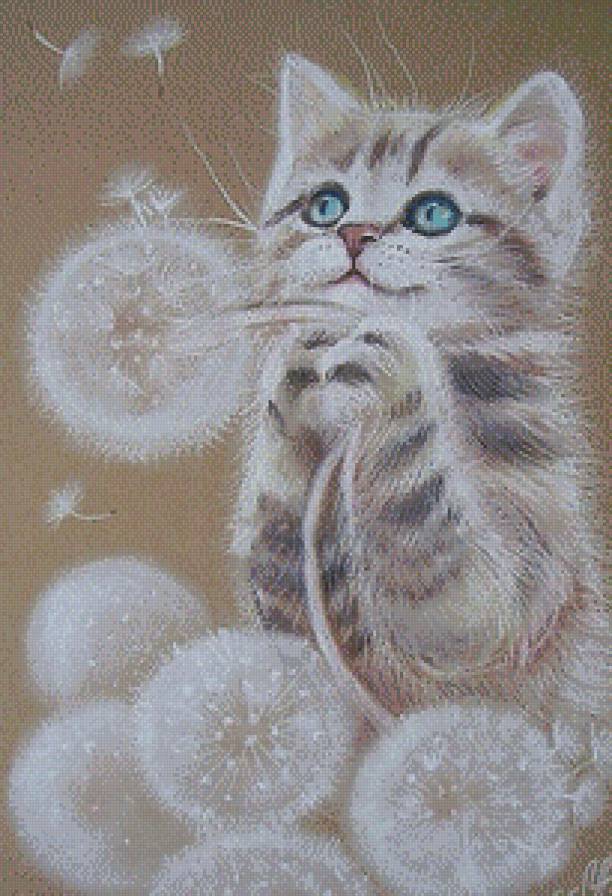 котик - коты, животные - предпросмотр