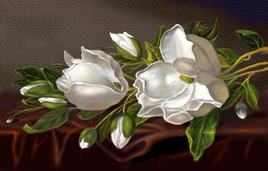 Белая магнолия - магнолия, натюрморт, цветы - оригинал