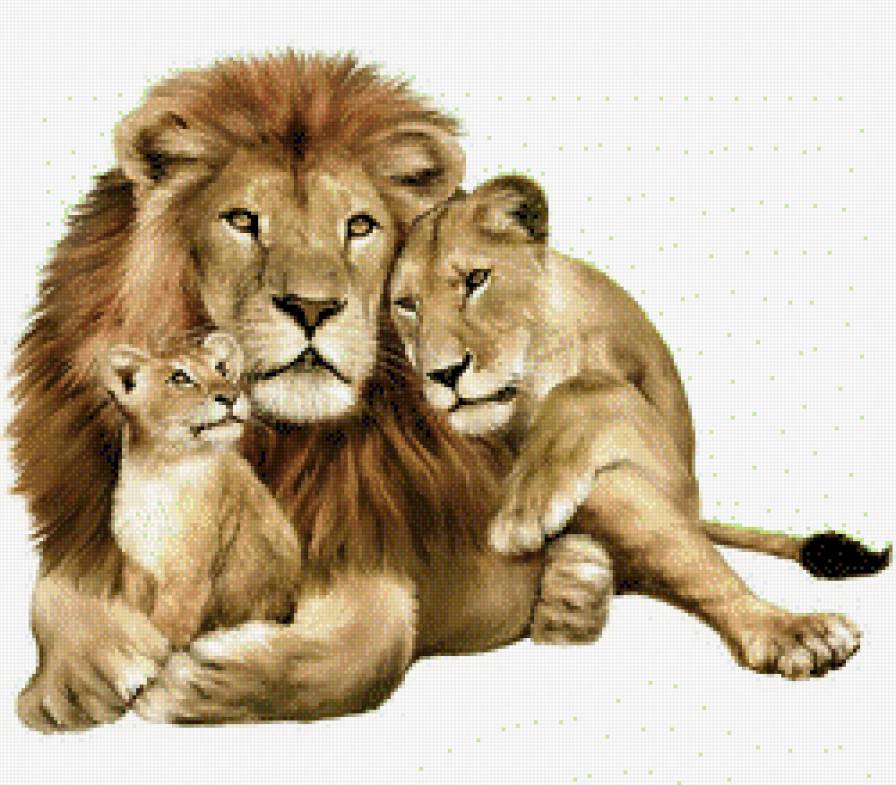 семья львов - предпросмотр
