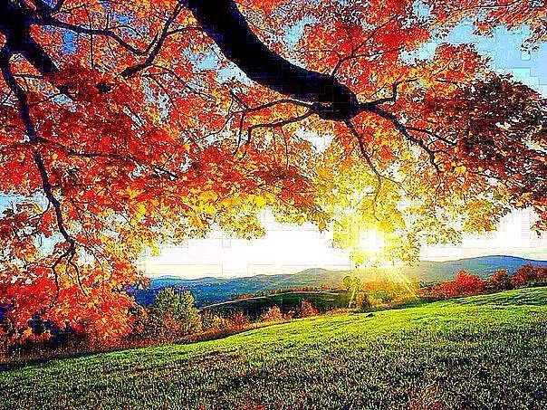 Осень - оригинал