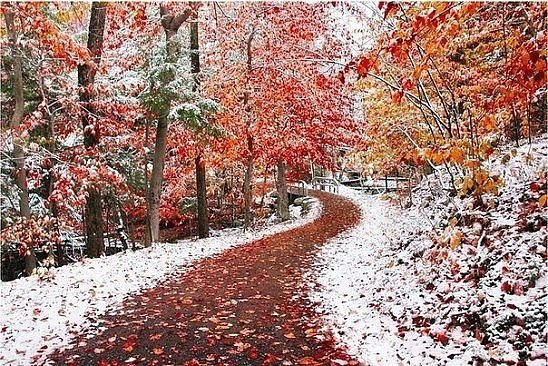 №1047396 - оригинал