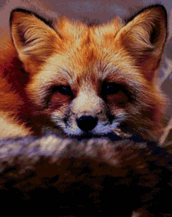 Лиса - животные, лиса - предпросмотр