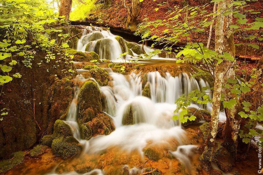 Водопад в лесу - природа, вода, лес, водопад - оригинал