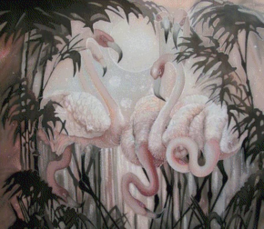 Фламинго - фламинго, птицы - предпросмотр