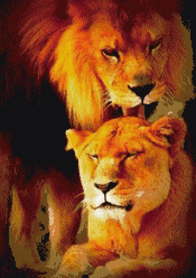 Лев и львица - львица, лев - предпросмотр