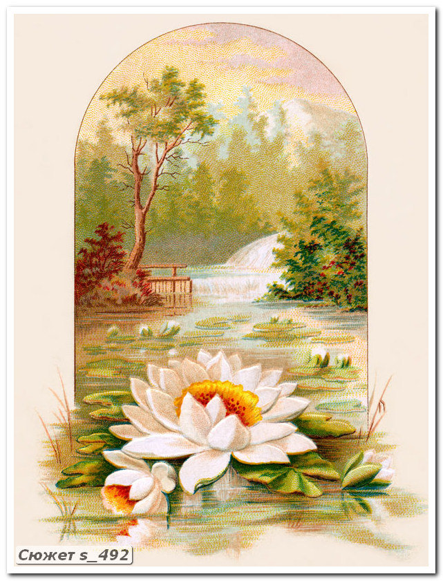 водные лилии - оригинал