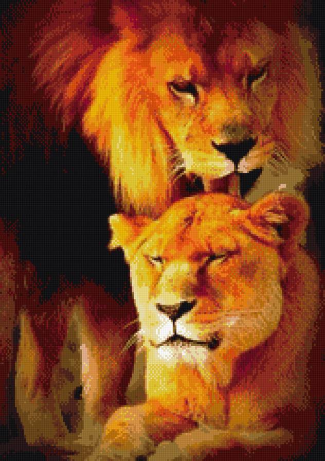 Лев и львица - лев, львица - предпросмотр