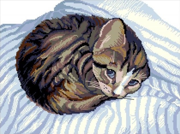 котейка - оригинал