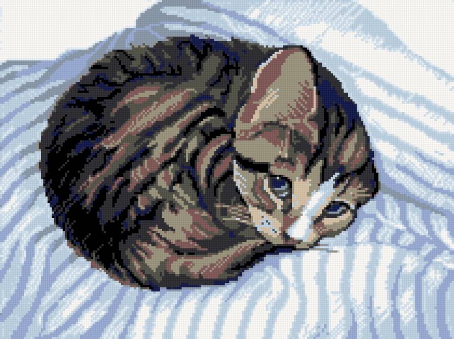 котейка - предпросмотр