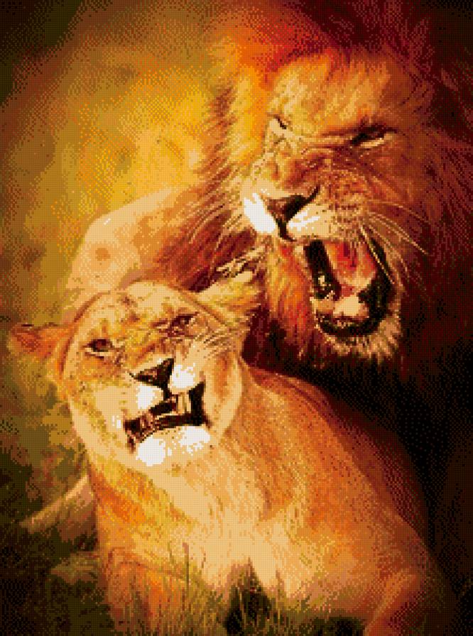 страсть - предпросмотр